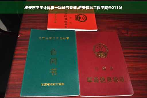 雅安市学生计算机一级证书查询,雅安信息工程学院是211吗