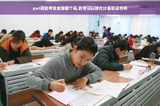 pat和软考含金量哪个高,软考可以替代计算机证书吗