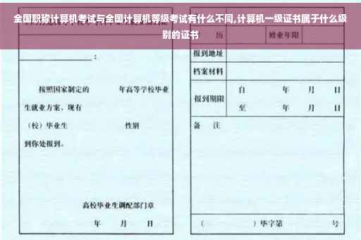 全国职称计算机考试与全国计算机等级考试有什么不同,计算机一级证书属于什么级别的证书