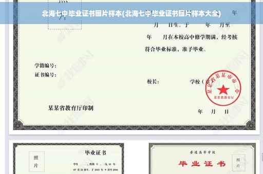 北海七中毕业证书图片样本(北海七中毕业证书图片样本大全)