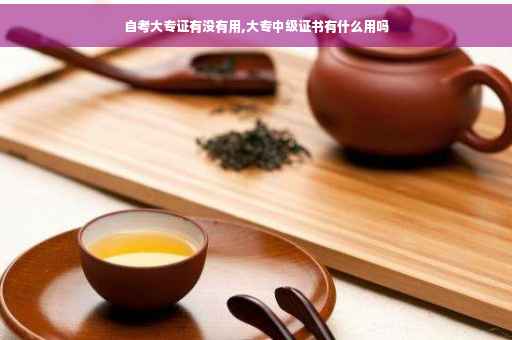 自考大专证有没有用,大专中级证书有什么用吗