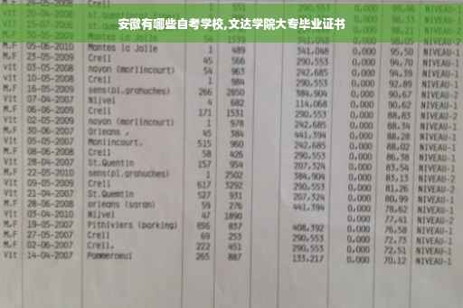 安徽有哪些自考学校,文达学院大专毕业证书