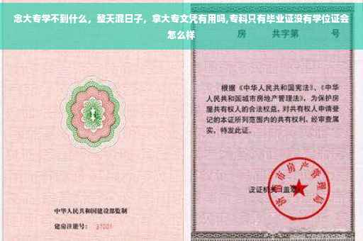 念大专学不到什么，整天混日子，拿大专文凭有用吗,专科只有毕业证没有学位证会怎么样