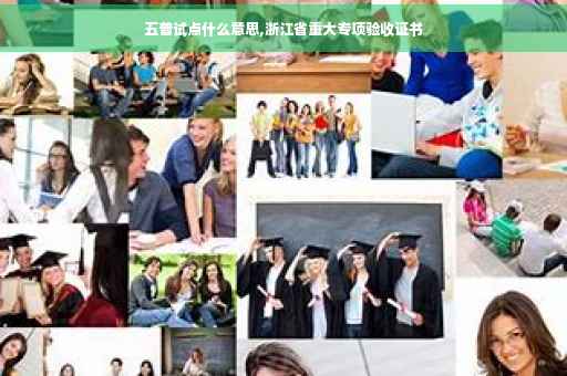 五普试点什么意思,浙江省重大专项验收证书