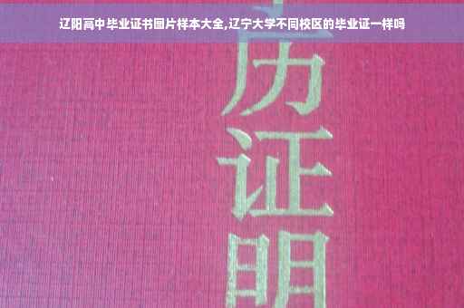 辽阳高中毕业证书图片样本大全,辽宁大学不同校区的毕业证一样吗