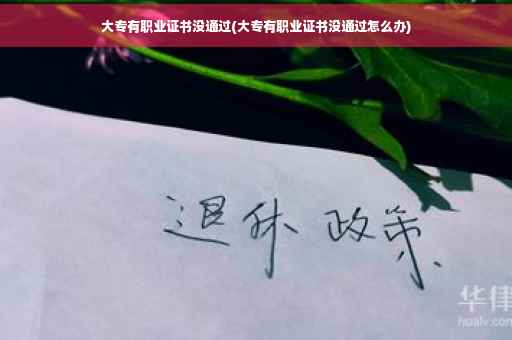 大专有职业证书没通过(大专有职业证书没通过怎么办)