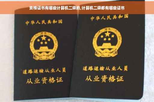 资格证书有哪些计算机二级的,计算机二级都有哪些证书