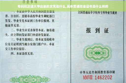 专科批次进大学出来的文凭是什么,高本贯通毕业证书是什么样的