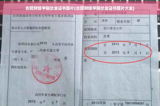 合肥财经学院毕业证书图片(合肥财经学院毕业证书图片大全)