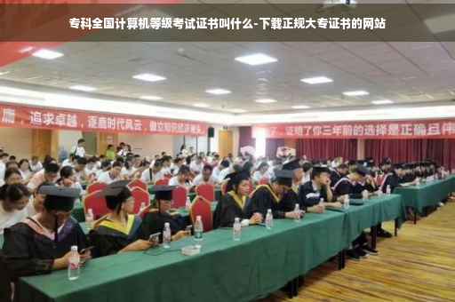 专科全国计算机等级考试证书叫什么-下载正规大专证书的网站