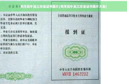 夹河高中高三毕业证书图片(夹河高中高三毕业证书图片大全)