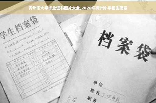 青州市大学毕业证书图片大全,2020年青州小学招生简章