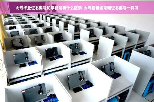 大专毕业证书编号和学籍号有什么区别-大专报告编号和证书编号一样吗