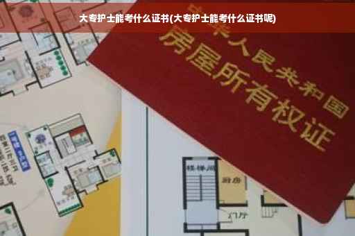 大专护士能考什么证书(大专护士能考什么证书呢)