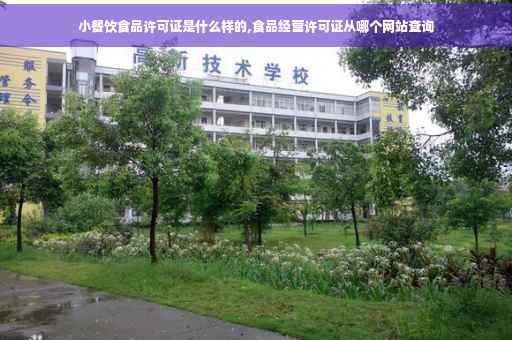 小餐饮食品许可证是什么样的,食品经营许可证从哪个网站查询