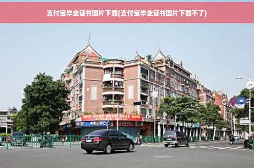 支付宝毕业证书图片下载(支付宝毕业证书图片下载不了)