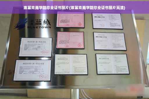 埃塞克商学院毕业证书图片(埃塞克商学院毕业证书图片高清)