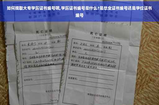 如何提取大专学历证书编号呢,学历证书编号是什么?是毕业证书编号还是学位证书编号