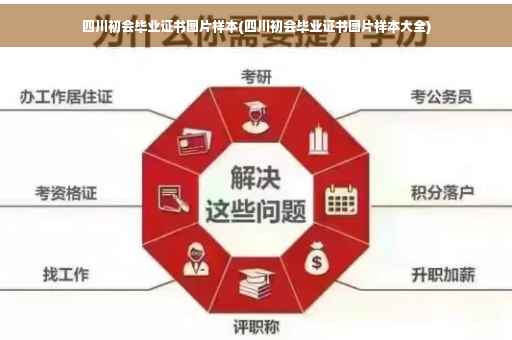 四川初会毕业证书图片样本(四川初会毕业证书图片样本大全)
