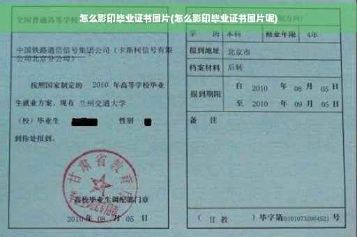 怎么影印毕业证书图片(怎么影印毕业证书图片呢)