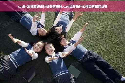 cad计算机辅助设计证书有用吗,cad证书是什么种类的技能证书