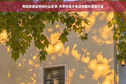 专科毕业证书叫什么名字-大学毕业大专证书图片高清大全