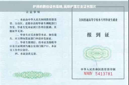 护师的聘任证书是啥,高级护理毕业证书图片
