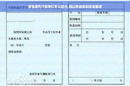 满色满肉川料南红怎么区分,保山学院本科毕业要求