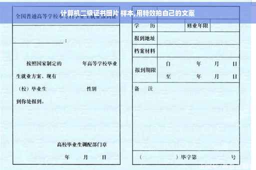 计算机二级证书图片 样本,用特效拍自己的文案