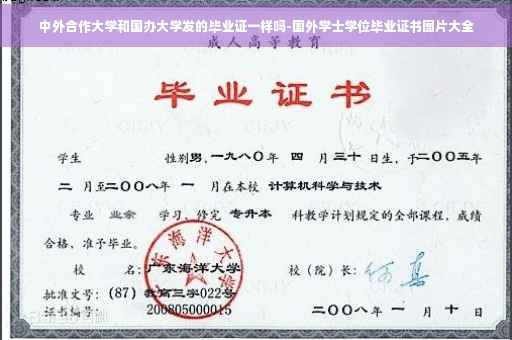 中外合作大学和国办大学发的毕业证一样吗-国外学士学位毕业证书图片大全