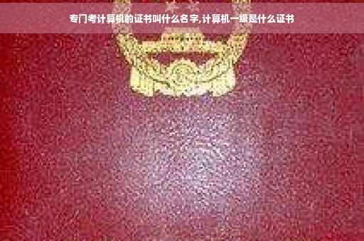 专门考计算机的证书叫什么名字,计算机一级是什么证书