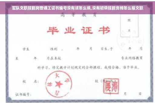 军队文职技能岗普通工证书编号没有该怎么填,没有初级技能资格怎么报文职