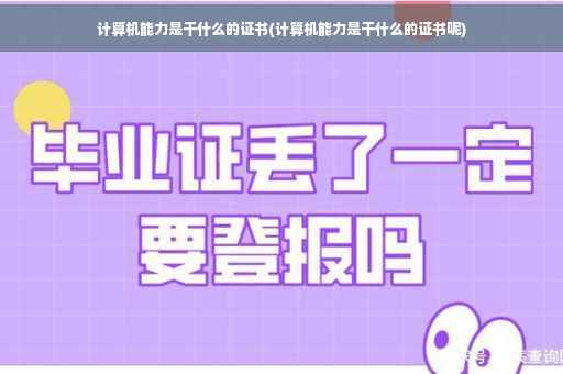 计算机能力是干什么的证书(计算机能力是干什么的证书呢)