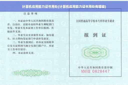 计算机应用能力证书用处(计算机应用能力证书用处有哪些)