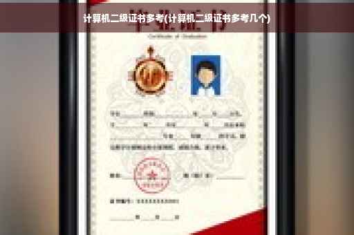 计算机二级证书多考(计算机二级证书多考几个)