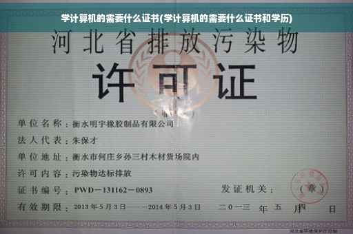 学计算机的需要什么证书(学计算机的需要什么证书和学历) 学计算机的需要什么证书(学计算机的需要什么证书和学历)