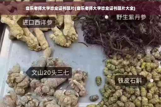音乐老师大学毕业证书图片(音乐老师大学毕业证书图片大全)