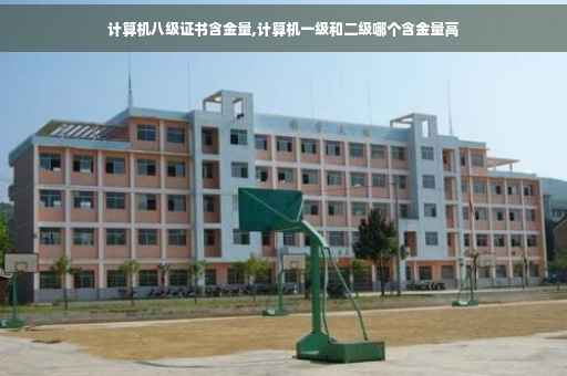 计算机八级证书含金量,计算机一级和二级哪个含金量高