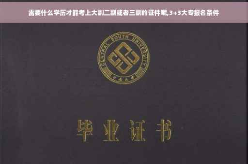 需要什么学历才能考上大副二副或者三副的证件呢,3+3大专报名条件