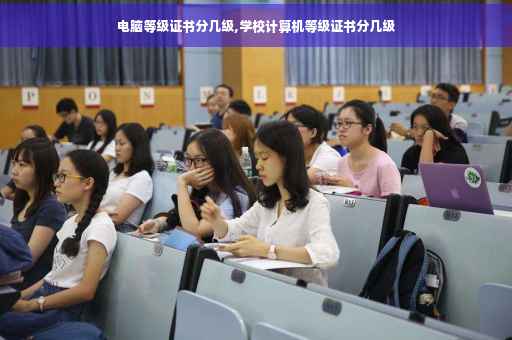 电脑等级证书分几级,学校计算机等级证书分几级