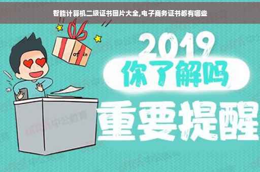 智能计算机二级证书图片大全,电子商务证书都有哪些