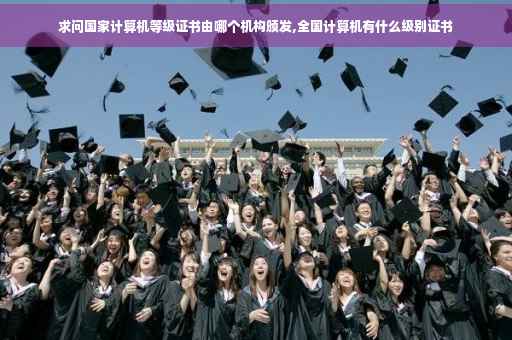 求问国家计算机等级证书由哪个机构颁发,全国计算机有什么级别证书
