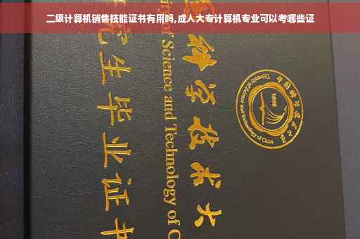 二级计算机销售技能证书有用吗,成人大专计算机专业可以考哪些证