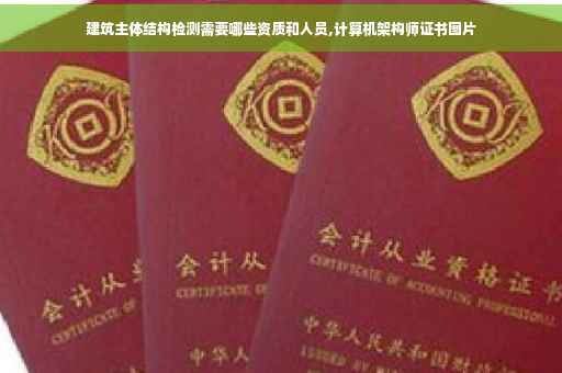 建筑主体结构检测需要哪些资质和人员,计算机架构师证书图片
