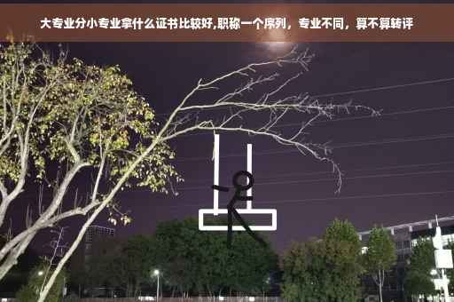 大专业分小专业拿什么证书比较好,职称一个序列，专业不同，算不算转评