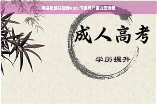 宅基地确权查询app,河南房产证办理流程