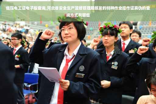 低压电工证电子版查询,河北省安全生产监督管理局颁发的特种作业操作证真伪的查询方式有哪些
