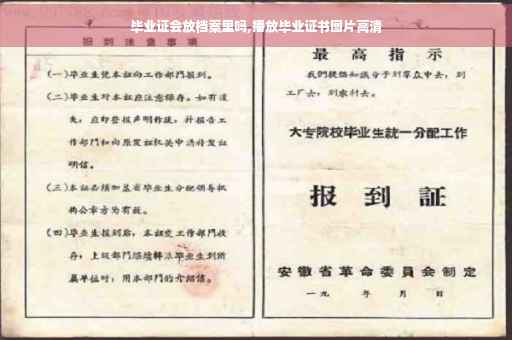 毕业证会放档案里吗,播放毕业证书图片高清
