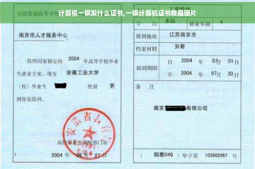计算机一级发什么证书,一级计算机证书教程图片