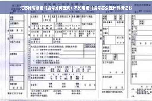 江苏计算机证书编号如何查询?,不知道证书编号怎么查计算机证书